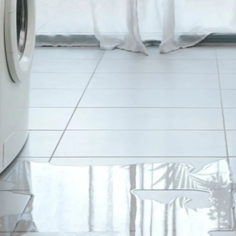Appliance Leak Cleanup in Big Bear City, CA