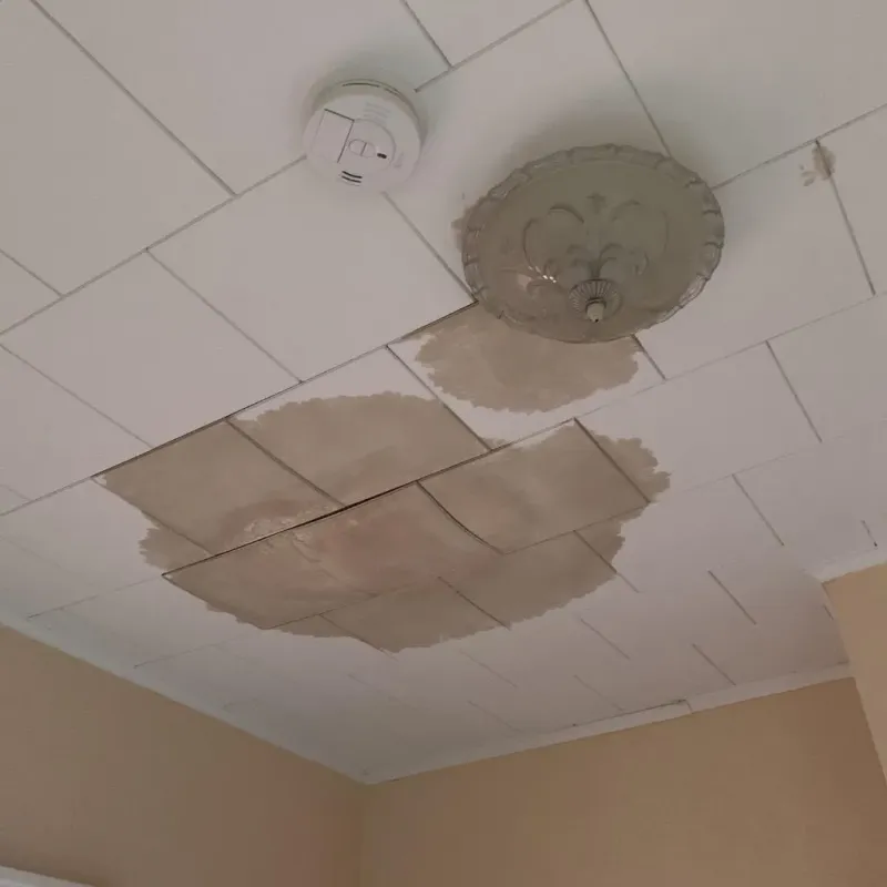 Ceiling Water Damage Repair in Big Bear City, CA