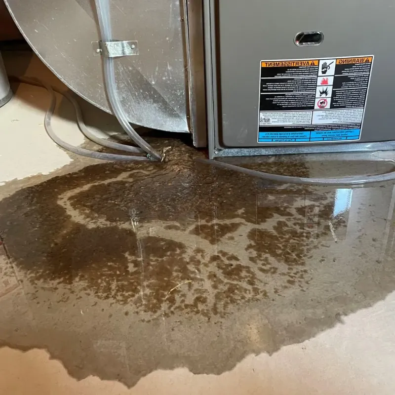 Pipe Burst and Leak Restoration in Big Bear City, CA